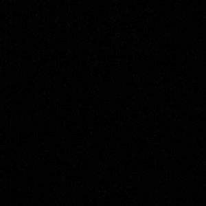 Meet your Posher, Joey